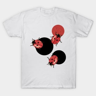 LadyBird Polka T-Shirt